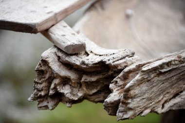 Eski ahşap ev dekorasyon ve bahçe dekorasyon sonucu eski görünüyor doğadan güzel ahşap. Ev ve Bahçe için eşyalar. Eski ahşaptan yapılmış.