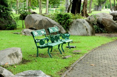 Yeşil parkta yol yakınında Bench