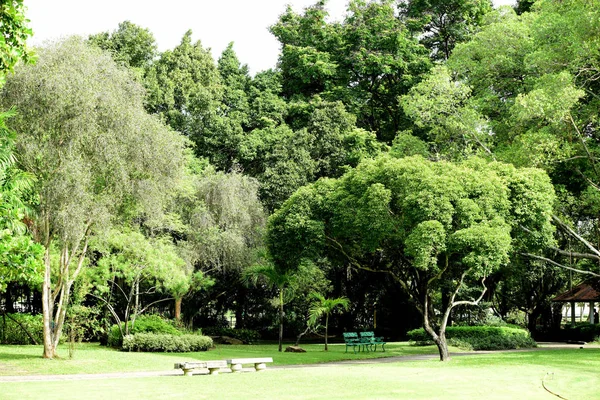 Schönen Garten Mit Bunten Blumen Landschaftlich Gestalteten Formalen Garten Park — Stockfoto