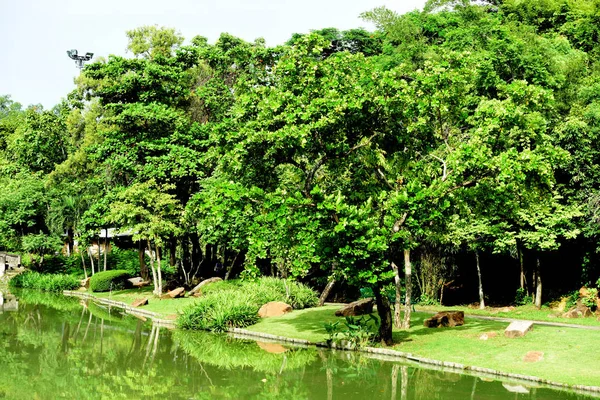 Gyönyörű Kertben Színes Virágok Formális Tájkert Park Szép Garden Leaves — Stock Fotó