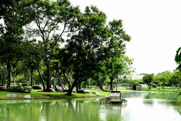 Piękne Jezioro Zielonym Parku — Zdjęcie stockowe