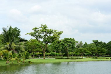 Renkli çiçek güzel bir bahçe. Resmi bahçe. Park. Güzel Garden.Leaves, ağaçlar, ferahlatıcı Bahçe.