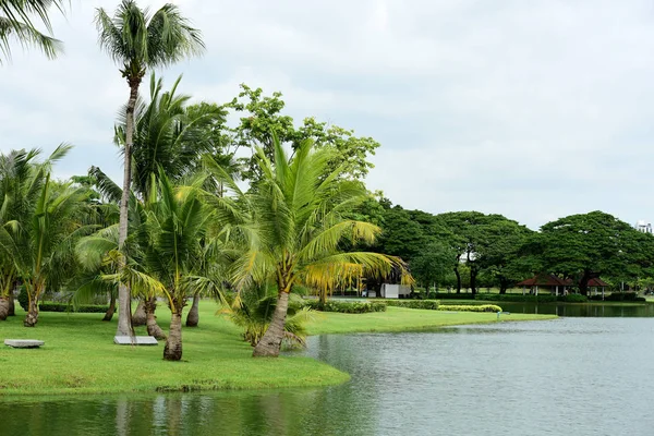 Schönen Garten Mit Bunten Blumen Landschaftlich Gestalteten Formalen Garten Park — Stockfoto