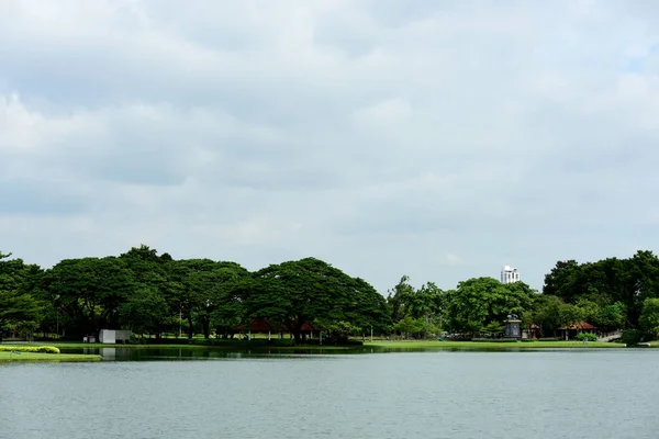 Renkli Çiçek Güzel Bir Bahçe Resmi Bahçe Park Güzel Garden — Stok fotoğraf