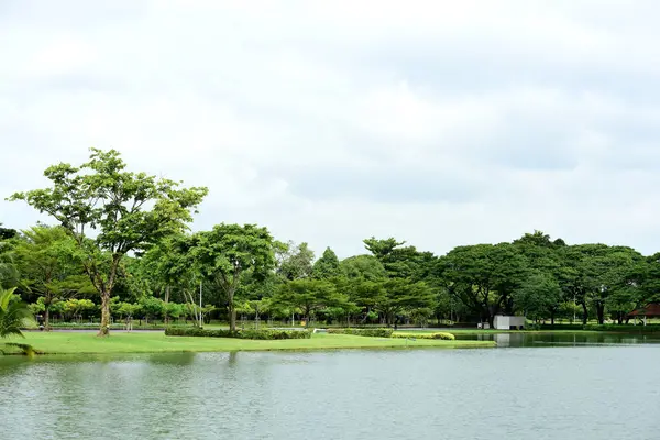 다채로운 정원입니다 다운된 정원입니다 공원입니다 Garden Leaves 상쾌한 — 스톡 사진