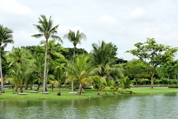 Schönen Garten Mit Bunten Blumen Landschaftlich Gestalteten Formalen Garten Park — Stockfoto