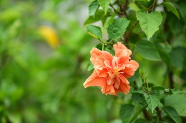 Kablosuz iletişim anteni ile parlak gökyüzü. Telekomünikasyon kule mavi gökyüzü ile antenler ile.