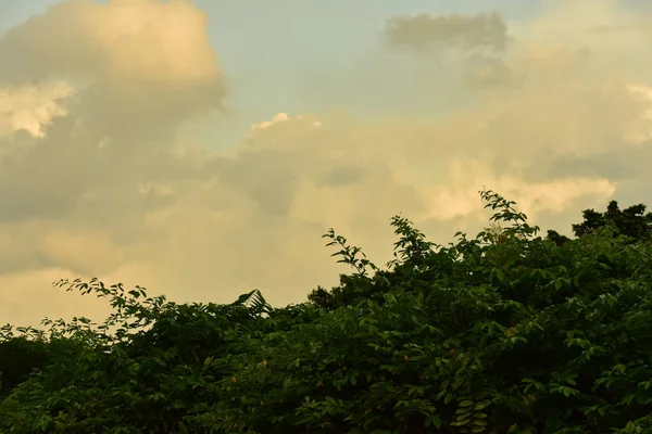 Прекрасное Небо Прекрасные Золотые Облака Закате Используйте Качестве Фона Image — стоковое фото