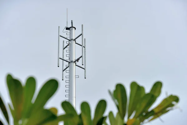 Tower Construction Install Antenna Wireless Communication System Microwave System Wireless — Stock Photo, Image