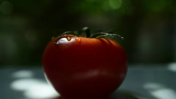 Świeże Owoce Białym Tle Świeże Pomidory Czerwone Krople Wody Skórze — Zdjęcie stockowe