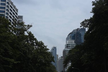 Gündüz vakti modern şehirde Tırpancılar