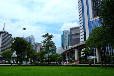 Şehir merkezindeki yeşil boş park