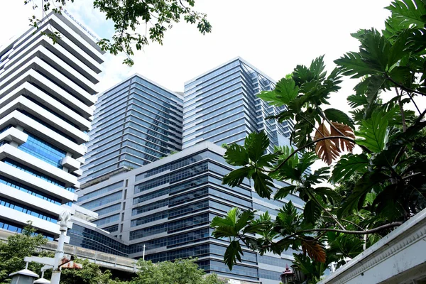 Besucher Der Innenstadt Und Hochhäuser Bangkok Aus Dem Park September — Stockfoto