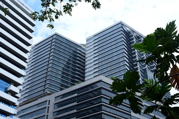 Visitantes Del Centro Edificios Gran Altura Bangkok Desde Parque Septiembre — Foto de Stock