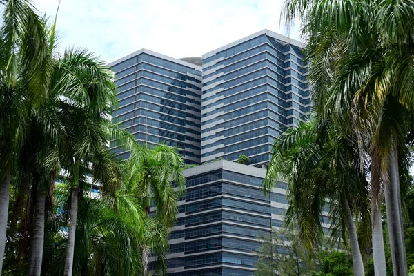 Visitantes Centro Cidade Edifícios Altos Banguecoque Partir Parque Setembro 2018 — Fotografia de Stock