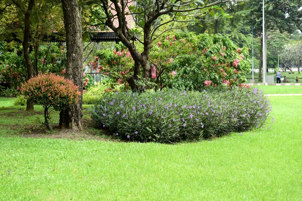 Gündüz vakti parkta yeşil çimen