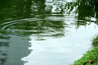 Şehir Merkezi ve yüksek binaların Bangkok ziyaretçilere Park üzerinde 20 Eylül 2018.