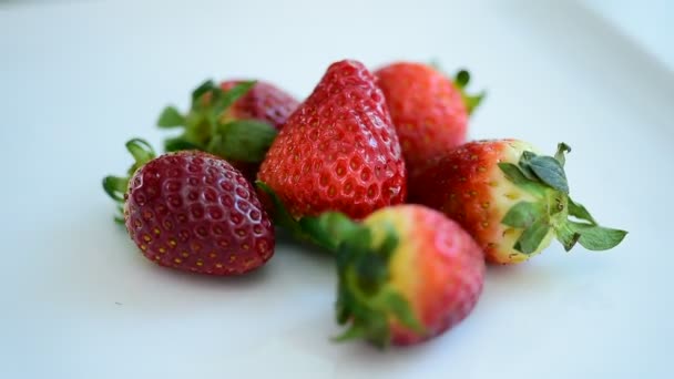 Erdbeeren Frisch Vom Markt Gesund Ernähren Diätkonzept Com Position Mit — Stockvideo