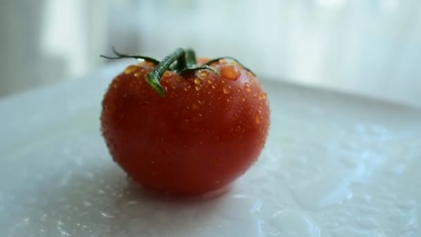 Čerstvá rajčata červená s kapkami vody na kůži rajčat. Rozmixujte ovoce. Čerstvé ovoce zblízka. Zdravé stravování, diety concept.Composition s řadou bio zeleniny a ovoce. Vyvážená strava. Barevné čerstvé ovoce na bílém pozadí.