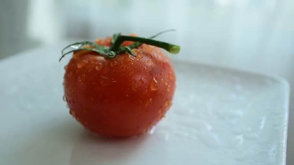 Frische Rote Tomaten Mit Wassertropfen Auf Der Tomatenhaut Früchte Mischen — Stockvideo