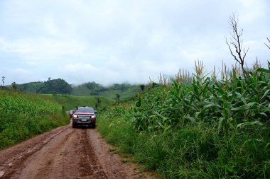 Dağlarda zemin yolda giden arabalar 