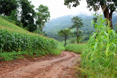 Gündüz vakti yeşil dağ manzarası
