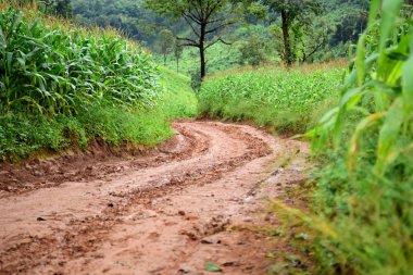 Gündüz vakti yeşil dağ manzarası