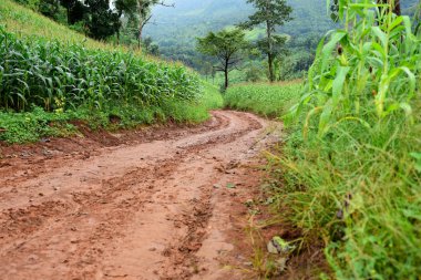 Gündüz vakti yeşil dağ manzarası