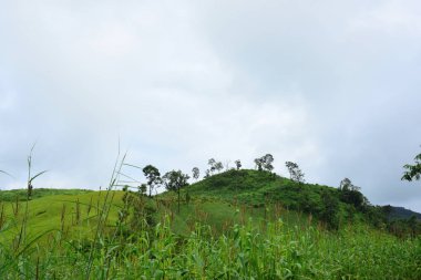 Gündüz vakti yeşil dağ manzarası