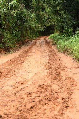 Gündüz vakti yeşil dağ manzarası