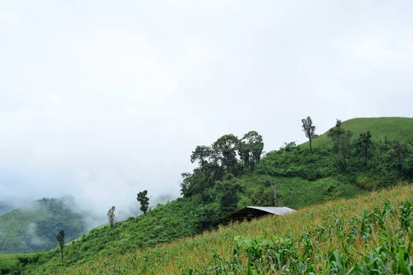 Paisaje Verde Montaña Durante Día — Foto de Stock