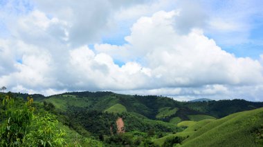 Güzel yeşil tropikal dağ manzarası 