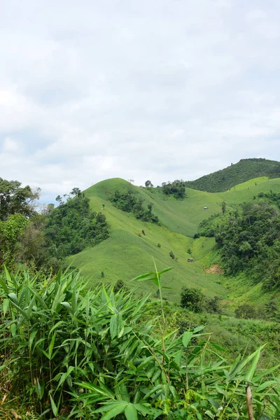 Piękny Zielony Tropikalny Krajobraz — Zdjęcie stockowe