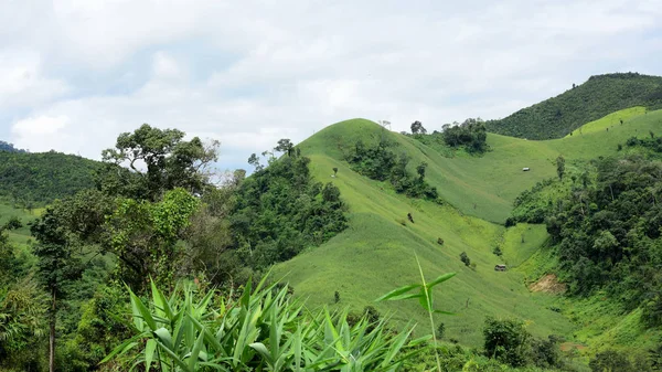 Beau Paysage Tropical Vert — Photo