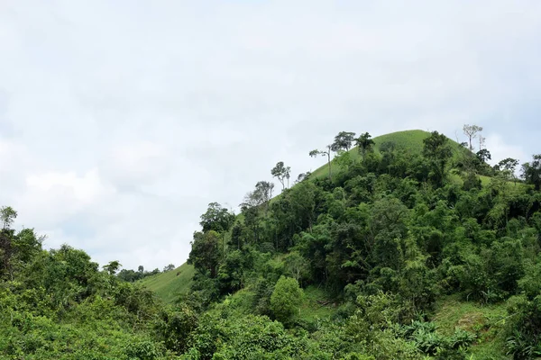 Hermoso Paisaje Tropical Verde — Foto de Stock