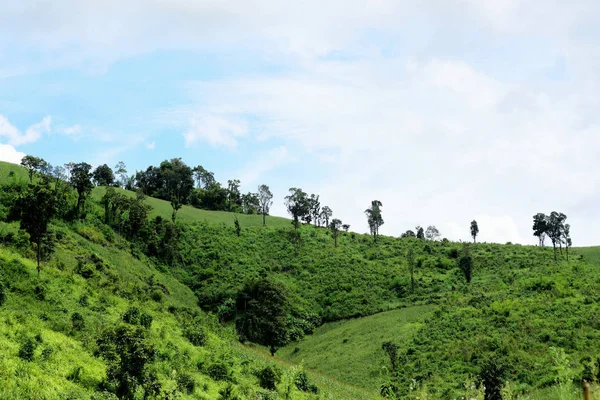 Hermoso Paisaje Montaña Tropical Verde — Foto de Stock