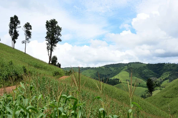 Hermoso Paisaje Montaña Tropical Verde — Foto de Stock