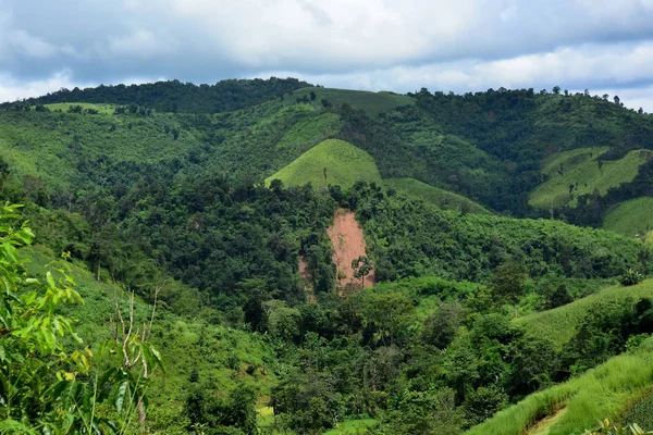 Hermoso Paisaje Montaña Tropical Verde — Foto de Stock