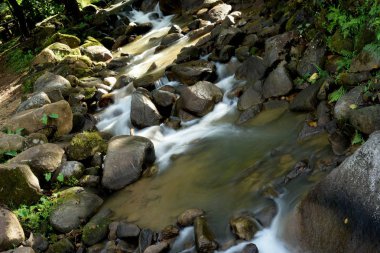tropikal ormanda güzel şelale 