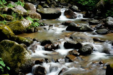 tropikal ormanda güzel şelale