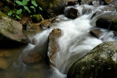 tropikal ormanda güzel şelale