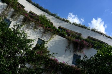 Renkli bitkileri olan eski bir bina.