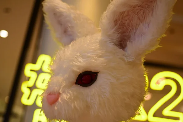 Cute White Rabbit Toy — Stock Photo, Image
