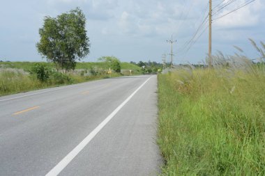 Kırsal kesimde gündüz vakti yol