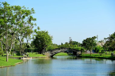 Yeşil park lake ile. Parkta güzel ağaçlar. Renkli park.