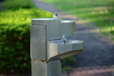 Yeşil park lake ile. Parkta güzel ağaçlar. Renkli park. Çiçekler yakın çekim görüntüsü görüntüyü bir arka plan görüntüsü olarak kullanılır. makro yakın çekim fotoğraf çiçek.