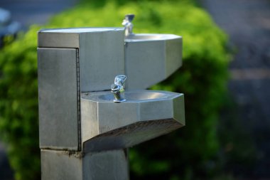 Yeşil park lake ile. Parkta güzel ağaçlar. Renkli park.