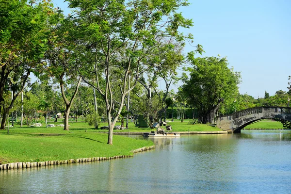 Green park with lake.Beautiful trees in the park .Colorful park.