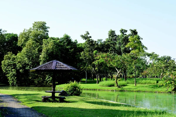 Parc Vert Avec Lac Beaux Arbres Dans Parc Colorful Parc — Photo