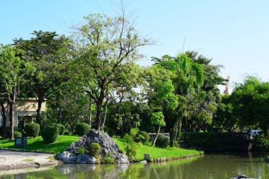 Yeşil çim alan Park mavi gökyüzü ile şehir merkezi. Şehir Parkı sonbahar güzelliği